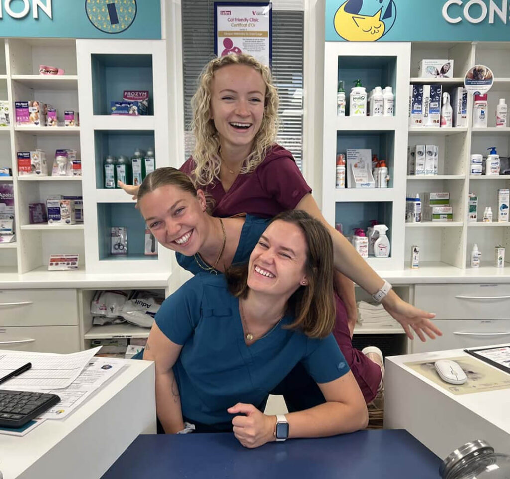 3 vétérinaires souriantes de la clinique du grand large