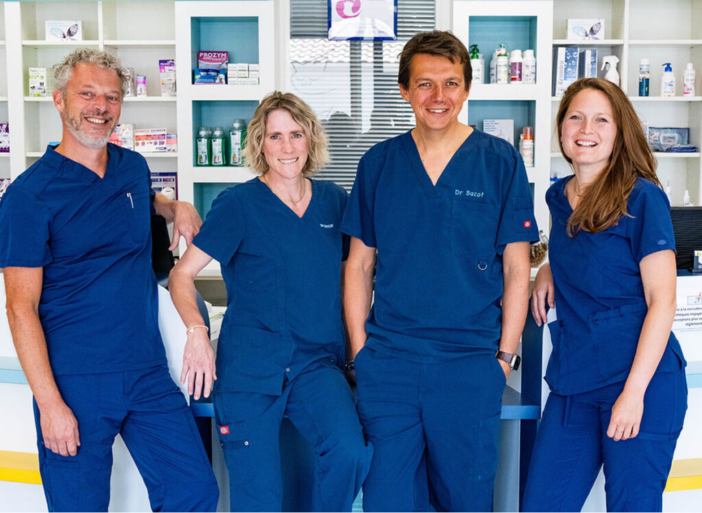 équipe vétérinaire grand large pornic