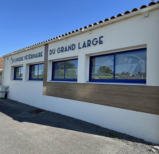 Ext&eacute;rieur clinique v&eacute;t&eacute;rinaire grand large