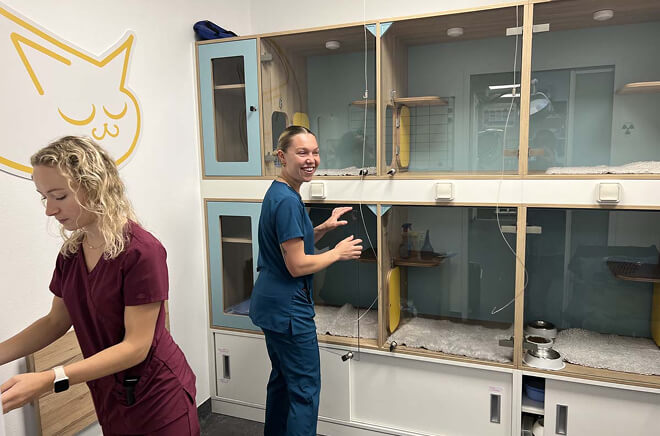 Hospitalisation vétérinaire