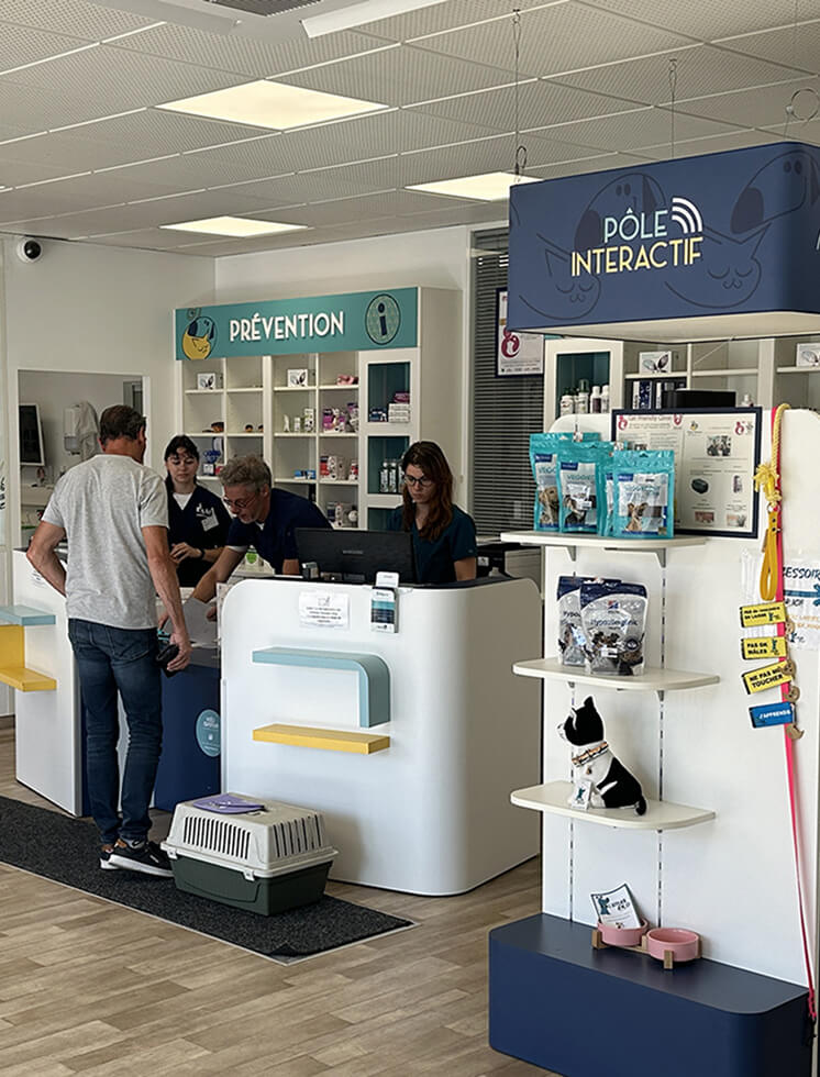 Contact clinique vétérinaire pornic